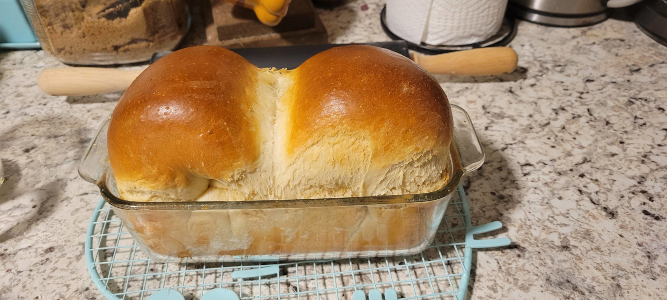 A loaf of Milk Bread fresh out of the oven